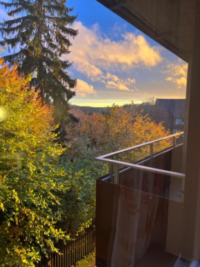 Moderne und zentral gelegene Ferienwohnung in Braunlage mit Rodelpiste und Start Ski Langlauf in 300 Metern Entfernung